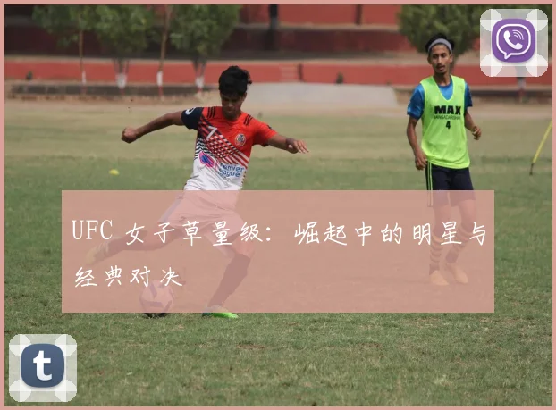 UFC 女子草量级:崛起中的明星与经典对决