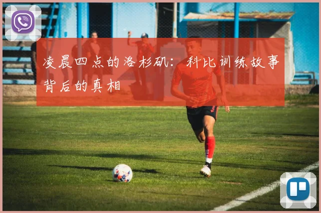 凌晨四点的洛杉矶:科比训练故事背后的真相