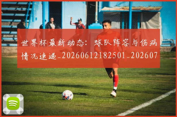 世界杯最新动态：球队阵容与伤病情况速递_20260612182501_20260715191307